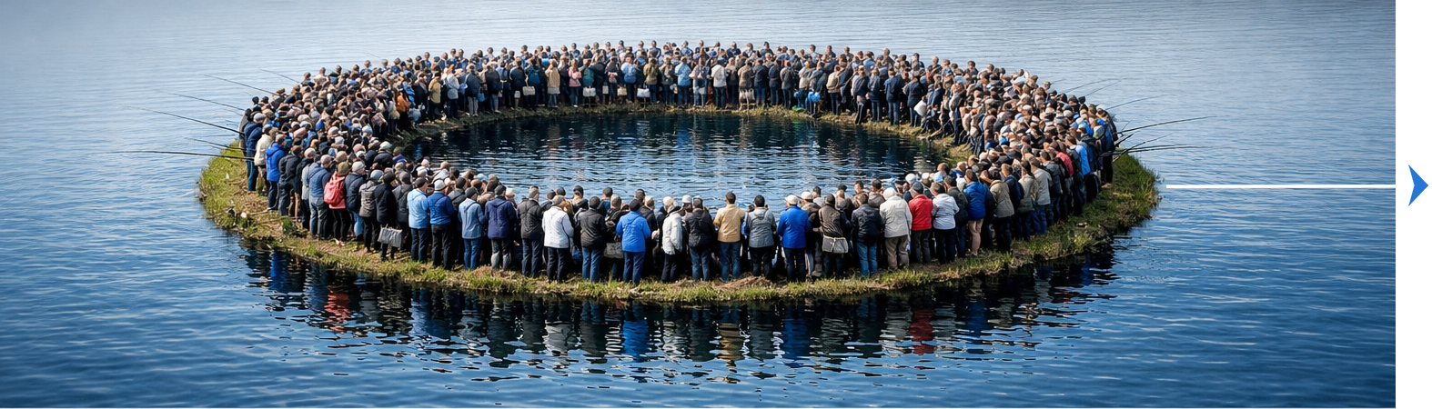 Crowded small pond showing active market competition